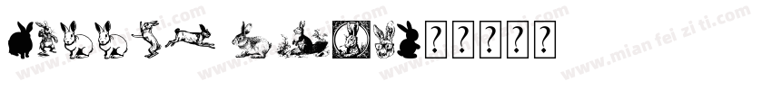 Rabbit Bold字体转换